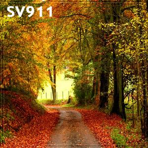 10'x10' SV911